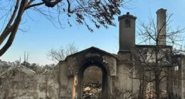 Zooey and Emily Deschanel reveal heartbreak as childhood home burns down in LA fires torching family photos & heirlooms