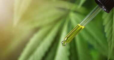 Alert over safety of CBD oil - potential risk of 'under-developed' babies born to pregnant women who use it