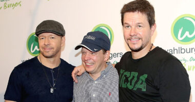 Dark Secrets The Wahlberg Family Tried To Hide