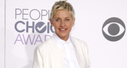 Ellen DeGeneres' Soured Reputation Flushes Her Plans Of A TV Return Down The Toilet