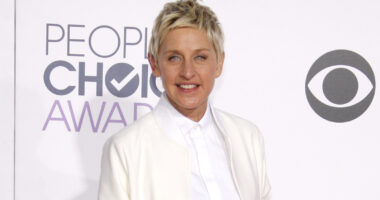 Ellen DeGeneres' Soured Reputation Flushes Her Plans Of A TV Return Down The Toilet