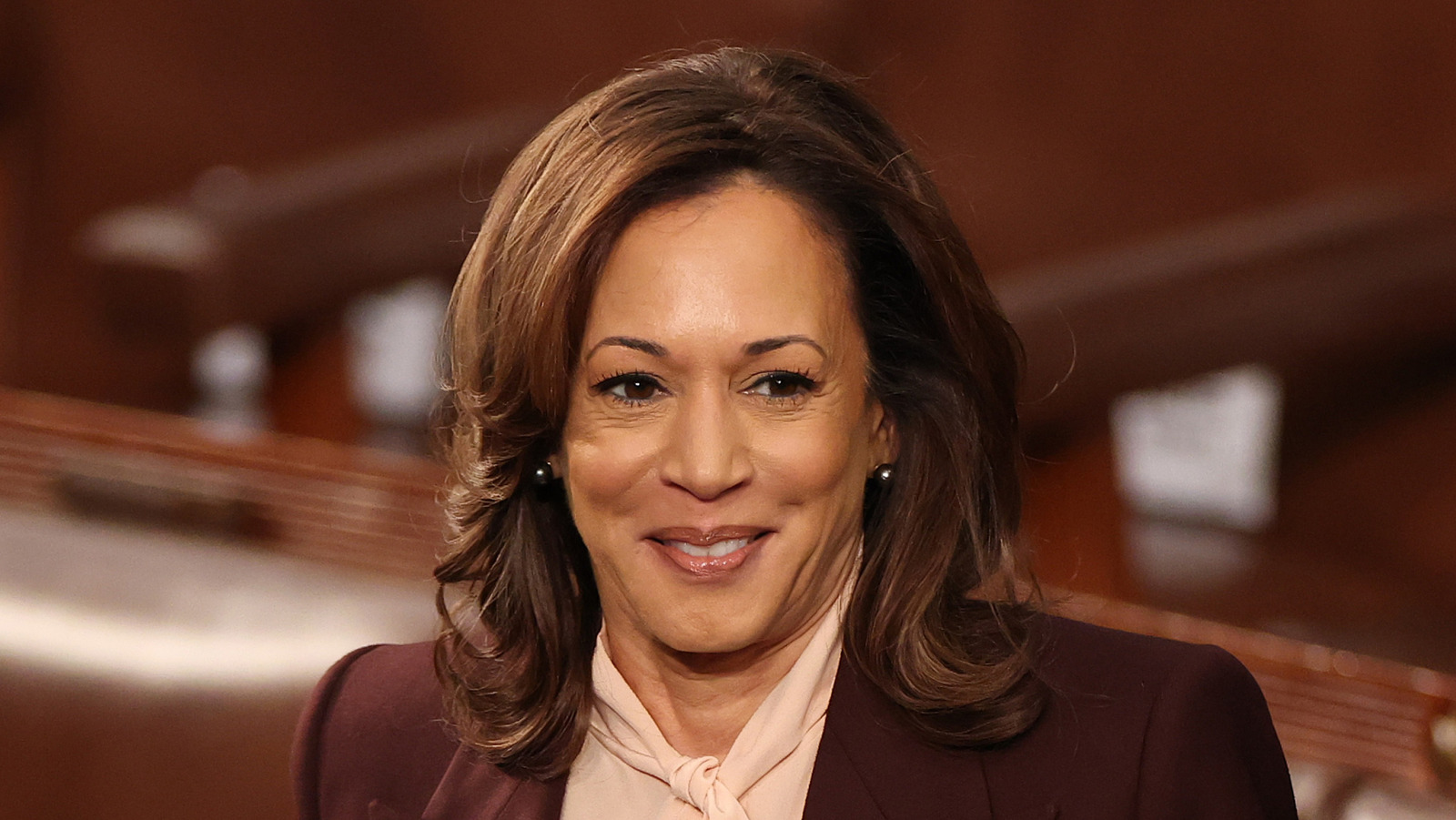 Kamala Harris' Post-White House Lifestyle Is Sure To Kill Trump Inside