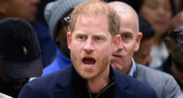 Prince Harry's Tragic 2025 Invictus Games Hair Proves It's Time To Rock William's Bald 'Do