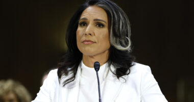 The Tragic Truth About Tulsi Gabbard