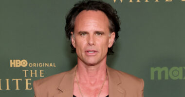 The Untold Truth Of The White Lotus' Walton Goggins