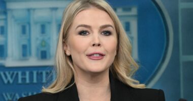 Trump's Press Secretary Karoline Leavitt Suffers Unfortunate Makeup Fail