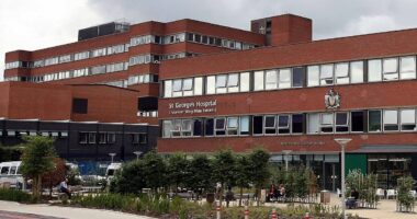 Urgent Norovirus warning issued as hospital bosses warn sickness bug 'can rip through wards like wildfire'