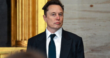 Weird Things About Elon Musk's Failed Marriages We All Missed