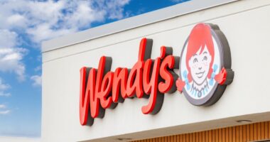 Wendy's Just Launched a Brand-New Thin Mints Frosty I Went Nuts For