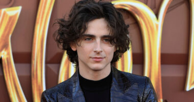 What Timothée Chalamet's Exes Have Said About Him