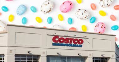 7 Brand-New Costco Products You Need to Grab Before March Ends