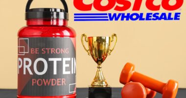 8 Best Protein Powders Ranked From Costco and Beyond