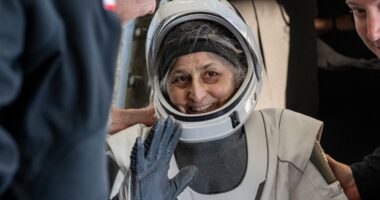 DNA damage equal to a daily pack of cigs and frail bones due to lack of gravity: If astronaut Suni Williams looks likes she's aged a decade after spending 288 days in space - that's probably because she has!