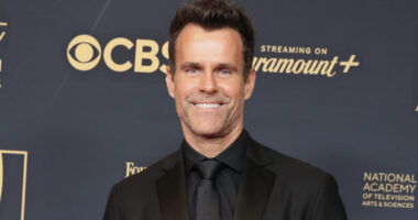 Hallmark Star Cameron Mathison's Steamiest Thirst Traps Post-Divorce