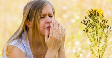 Hay Fever kicks in weeks early for millions of people as hot weather encourages an explosion of tree pollen