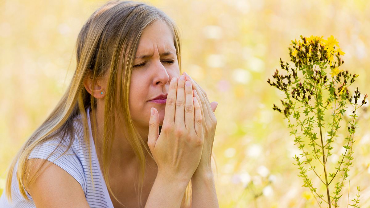 Hay Fever kicks in weeks early for millions of people as hot weather encourages an explosion of tree pollen