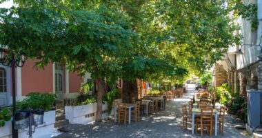 People 'forget to die' on tiny Greek island where locals all drink one drink