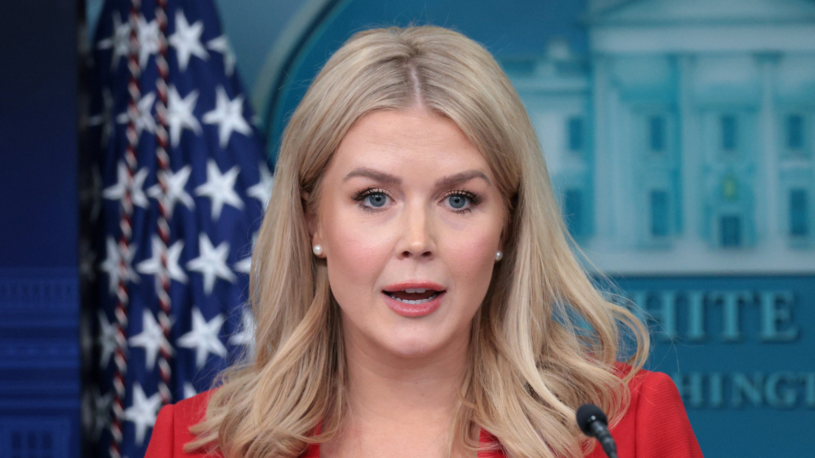 People Who Can't Stand Trump's Press Secretary Karoline Leavitt