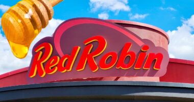 Red Robin Drops 3 Sweet and Spicy Mike