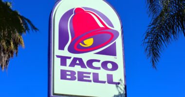 Taco Bell Just Launched a Spicy New Chicken Menu and Fans Are Fired Up