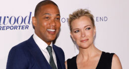 The Shadiest Jabs Don Lemon And Megyn Kelly Have Thrown At Each Other