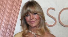 The Tragedy Of Goldie Hawn Gets Sadder And Sadder