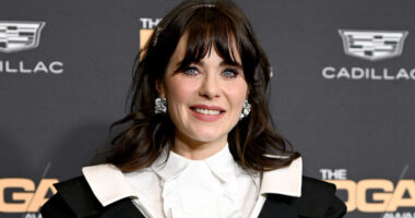 We Can't Believe Zooey Deschanel Wore These Busty Outfits