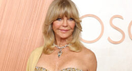 Why Goldie Hawn's Oscars 2025 Appearance Has Everyone Worried